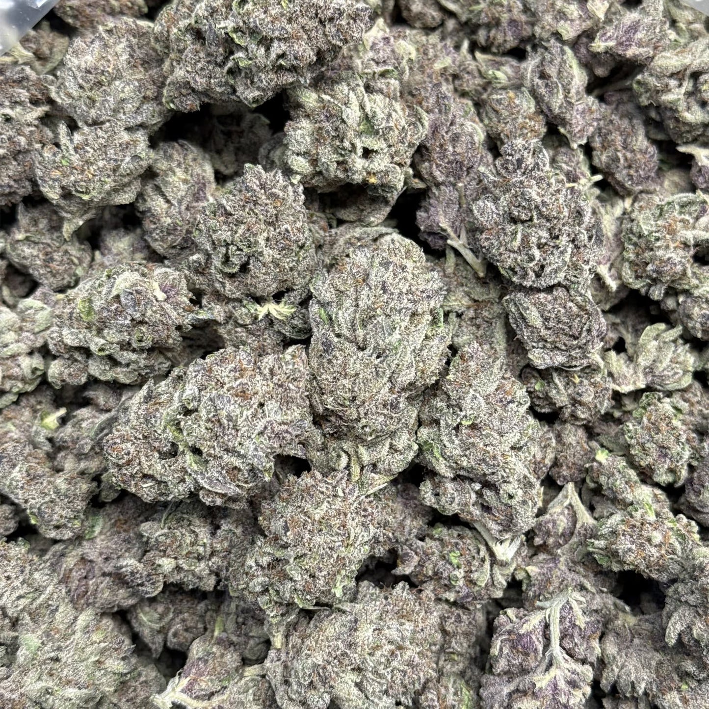 THCa Flower | Gorilla Skunk : INDICA (37.73%)