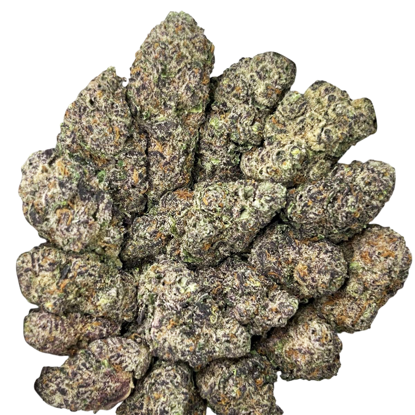 THCa Flower | Blueberry : INDICA (31.76%)