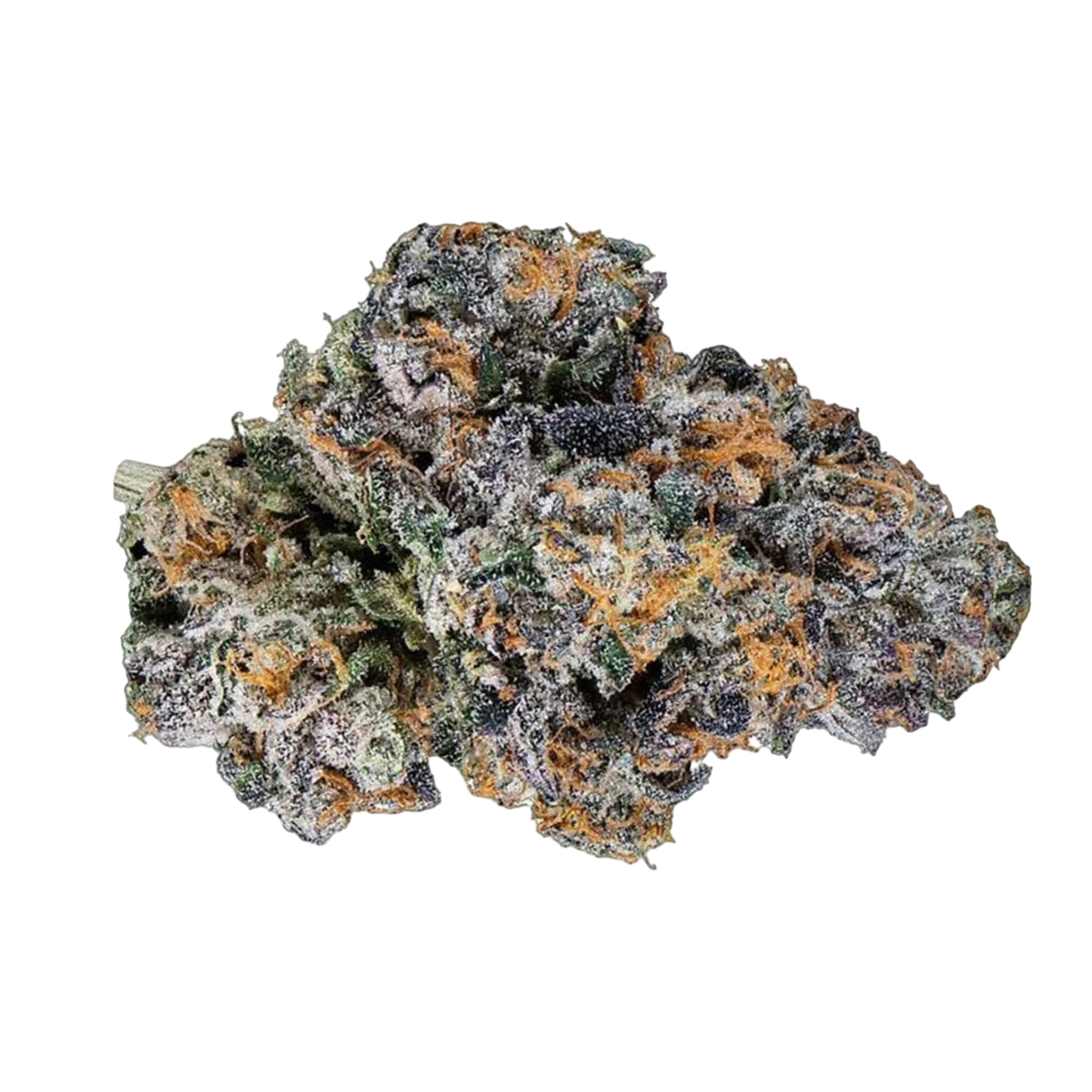 THCa Flower | Churro Gelato : HYBRID (33.06%)