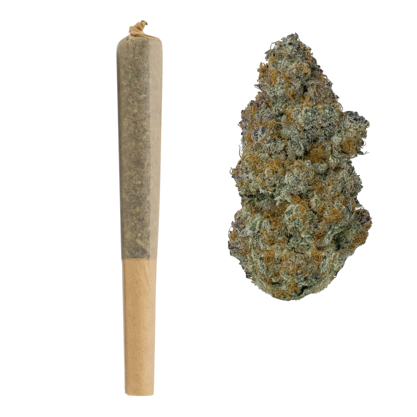 1G THCa Pre Rolls | GMO Cookies : INDICA (31.24%)