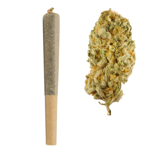 1G THCa Pre Rolls | Jack Herer : SATIVA (19.31%)