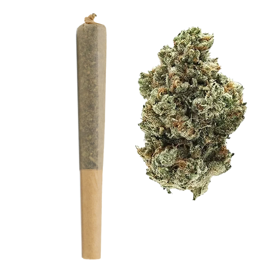 1G THCa Pre Rolls | Jet Fuel : HYBRID (28.98%)