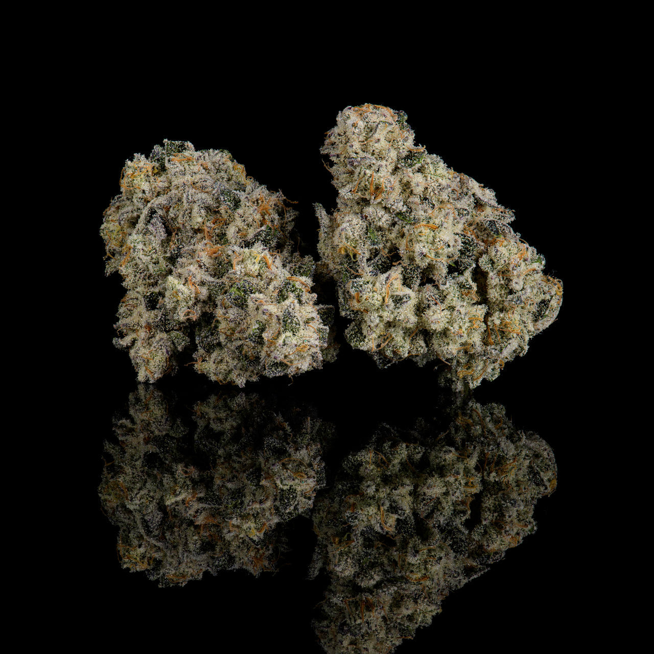 COOKIES | THCa Hemp Flower - OCEAN BEACH: HYBRID (24.91%)