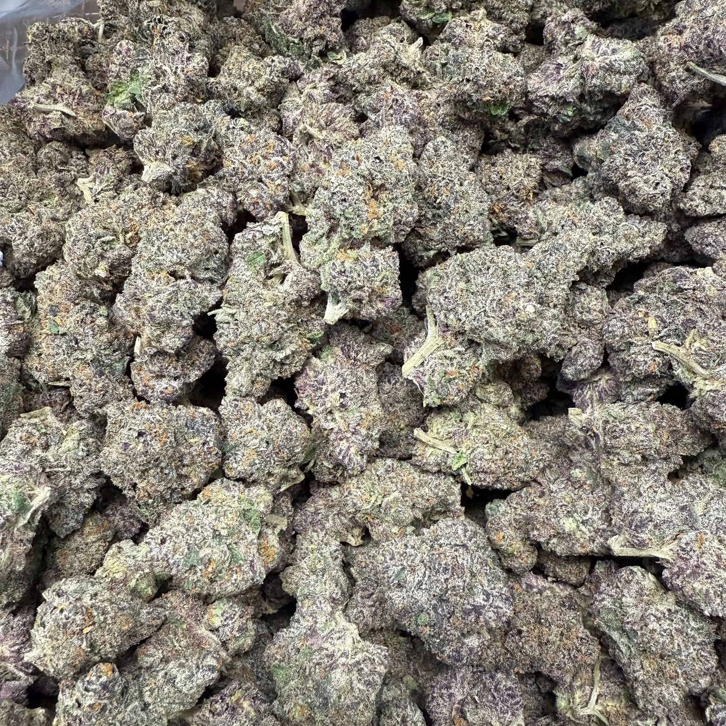 THCa Flower | Purple Runtz : HYBRID (40.57%)