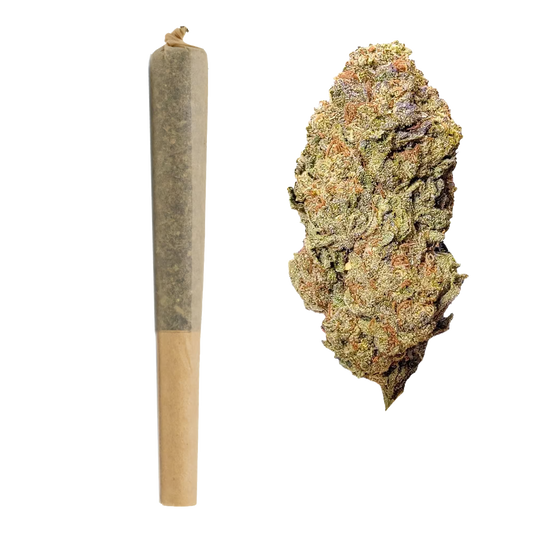 1G THCa Pre Roll | Rainbow Runtz : INDICA (26.03%)